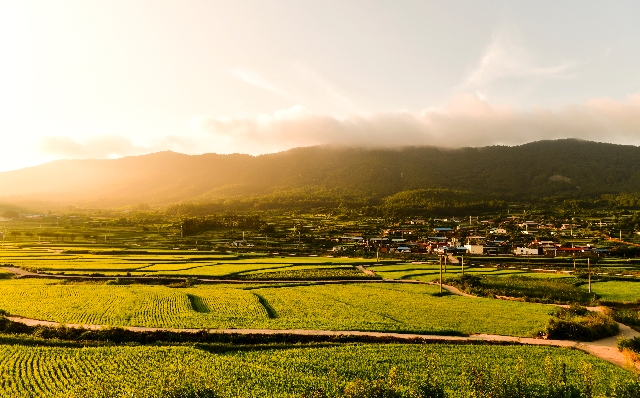 청산도 대표 이미지