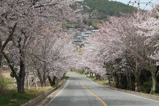 청산도 대표 이미지