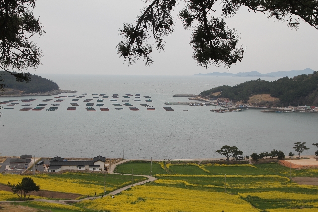 청산도 대표 이미지