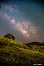 청산도 대표 이미지